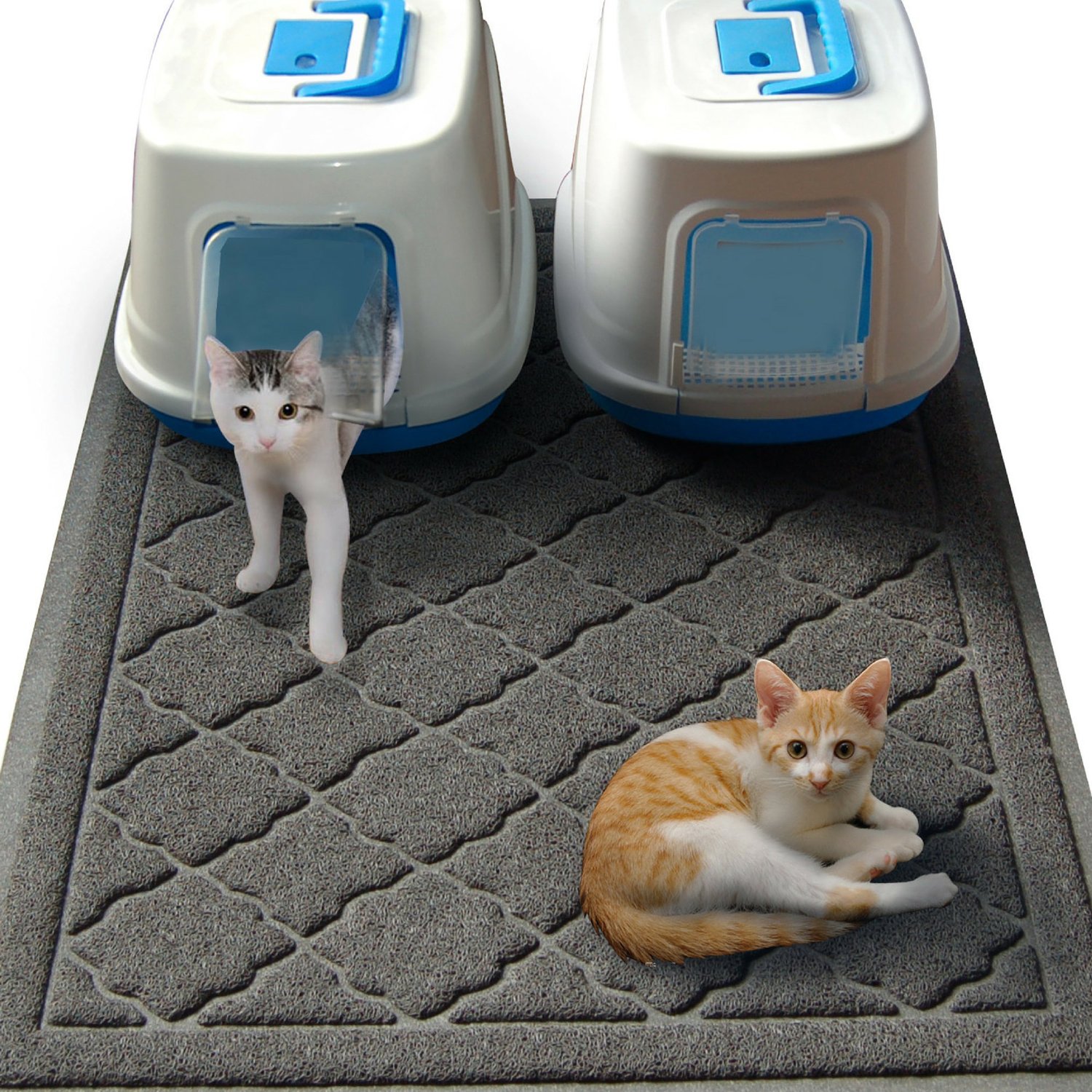 Cat Litter Mat The Smart Cat Guide 5030