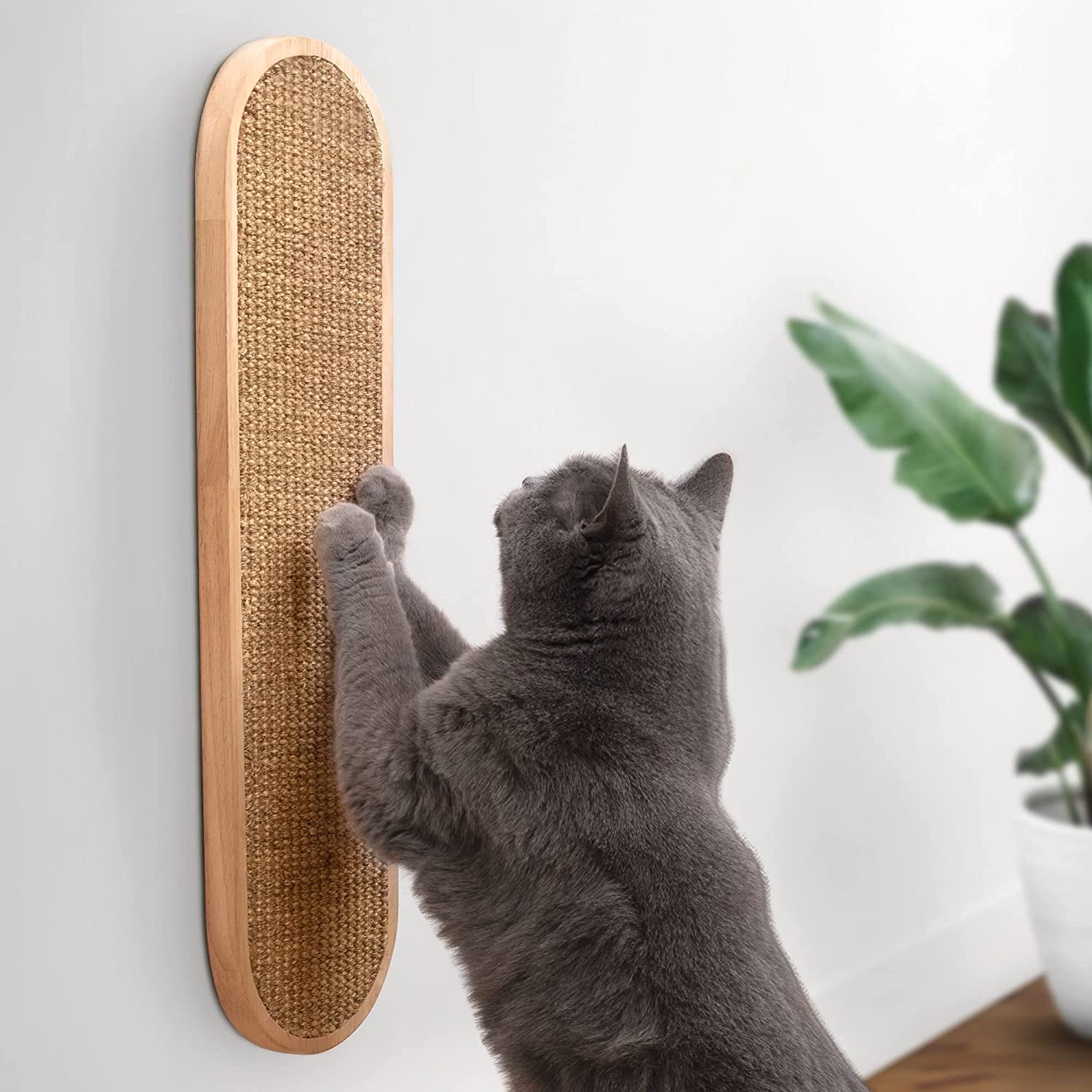 Choosing Cat Scratching Posts | The Smart Cat Guide